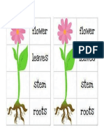 Parts of Flower