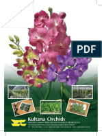 Pricelist Orchid 2013 PDF