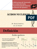 Ácidos Nucleicos- Kensly Gutierrez