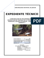 Expediente Tecnico Piscigranja