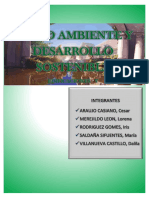 Informe - Medio Ambiente y Desarrollo Sostenible