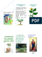 dmaximinarodriguezherreraapoyounidadtripticodelasplantas-100817220227-phpapp02