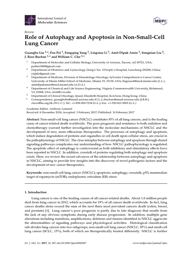 Role of Autophagy and Apoptosis in Non-Small-Cell Lung Cancer | PDF ...