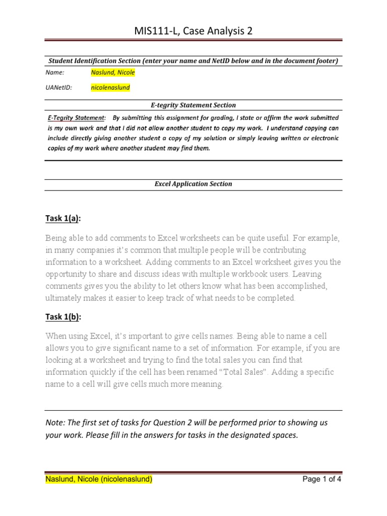 Case Analysis 2 Nicole Naslund | PDF | Microsoft Excel | Computing