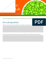 Data Sheet: Cell Size Lab