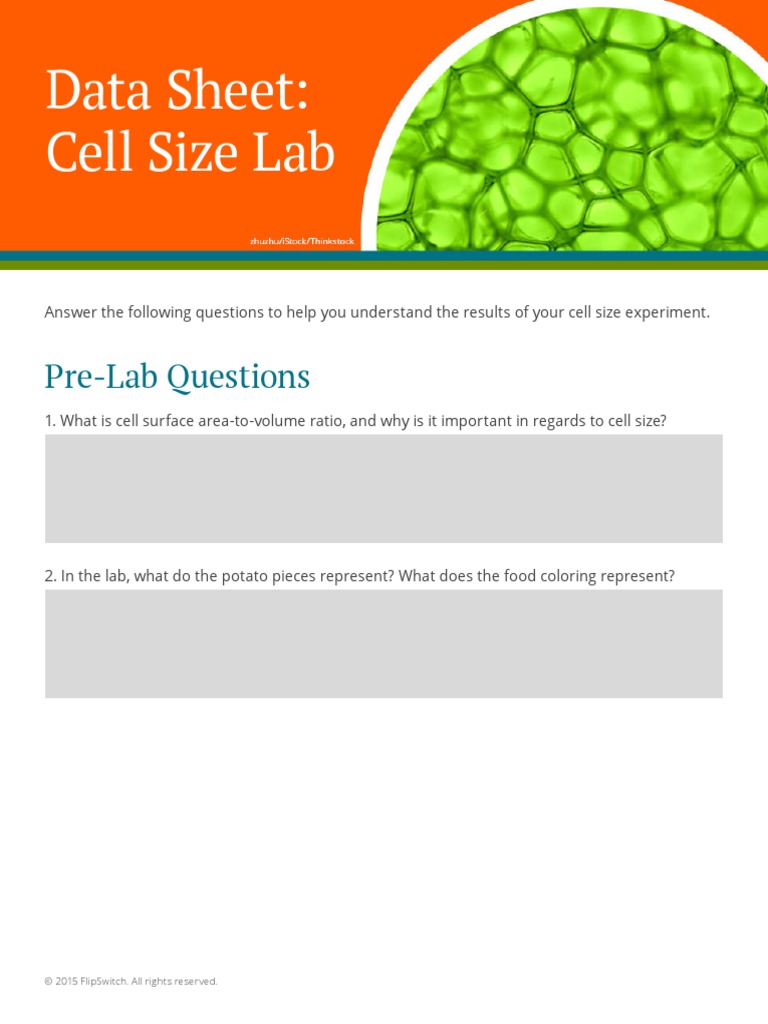 Data Sheet Cell Size Lab PDF Surface Area Volume