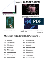 Bacterial Classification