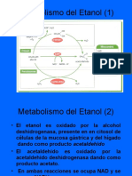 Metabolismodeletanol 130224171907 Phpapp01