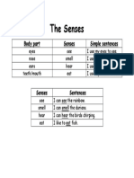 The Senses: Body Part Senses Simple Sentences