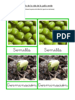 Ciclo de La Vida de La Judía Verde PDF