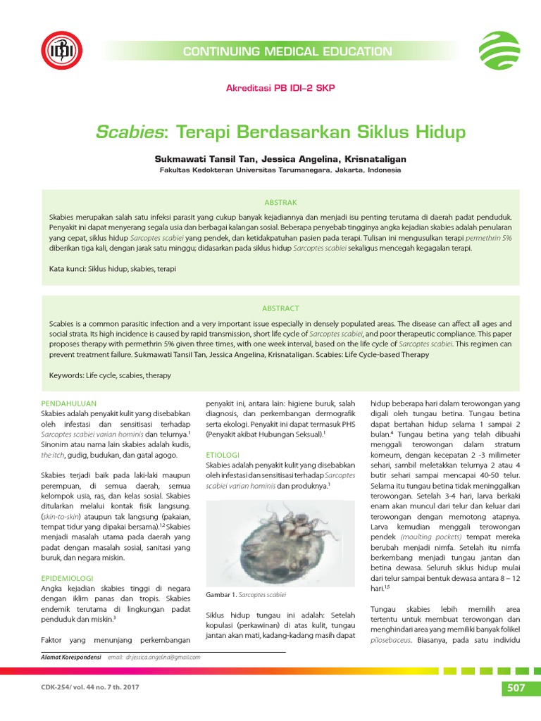 Terapi Skabies Berdasarkan Siklus Hidup | PDF