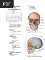 Download 5 Roteiro Axial by Louzeane SN36338796 doc pdf