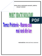 Proiect Didactic Socializare