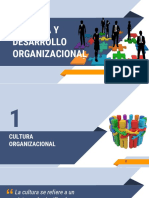 Cultura Organizacional