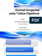 Anomali Kongenital Pada Traktus Digestivus - Micheline Brigita