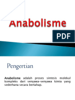 Anabolism e