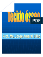 Tecido Ósseo