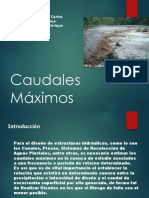 Caudal Maximo Exposicion