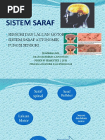 Tindakan Refleks Ialah Gerak Balas Terhadap Rangsangan Yang Tidak Dipelajari Yang Berlaku Secara Automatik Dan Pantas Pdf