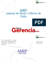 AMEF-Resumen.pdf