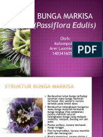 Download Pengamatan Bunga Markisa  Passiflora Edulis by arei laxmie SN363404174 doc pdf