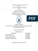 Investigación Sobre Gorgojo Descortezador Del Pino en Honduras