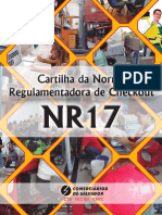 NR17-Normas-e-Regulamentacao-de-Checkout1.pdf