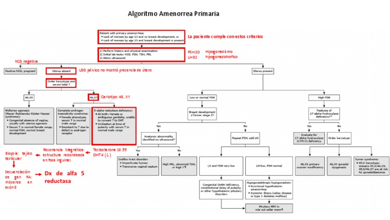 Diagnóstico de Amenorrea Primaria | PDF