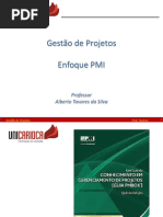 PMI - VisãoGeral.pdf