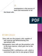 Hematopoiesis and Red Blood Cell Formation