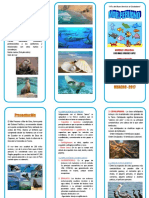 Triptico Fisiología Pulmonar