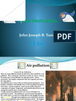 Forest Destruction.: John Joseph B. Tamayo