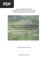 dissertação mestrado território