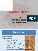 ANATOMI HIDUNG Pipoh