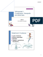Z3-Arthropoda II PDF