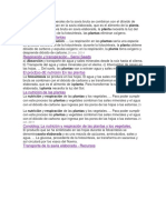 El agua y las sales minerales de la savia bruta se combinan con el dióxido de carbono y se transforman en la savia elaborada.docx