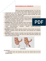 LAPORAN PENDAHULUAN APENDISITIS