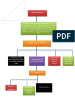 Mapa Conceptual Stiward