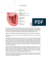 Mitral Regurgitation Pathophysiology