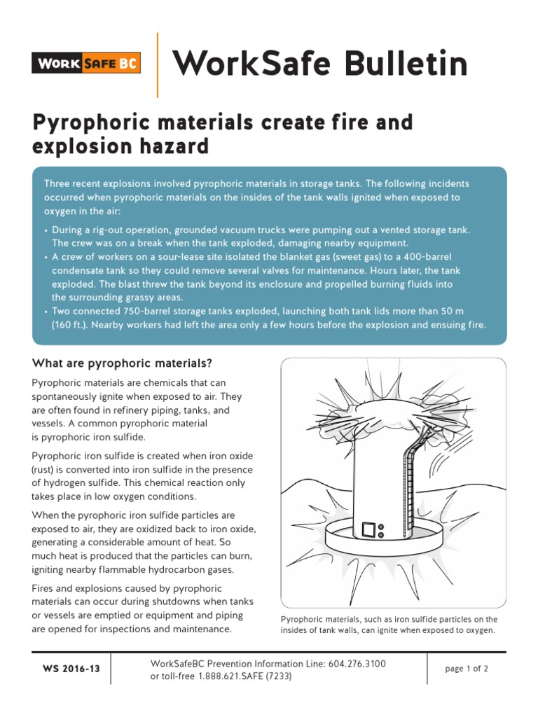 Ws 2016 13-Pdf-En | PDF | Explosion | Explosive Material