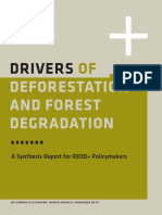 DriversOfDeforestation.pdf_N_S.pdf