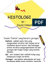 Histologi Gigi