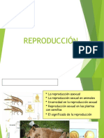 Tema 4. Funciones de Reproducción