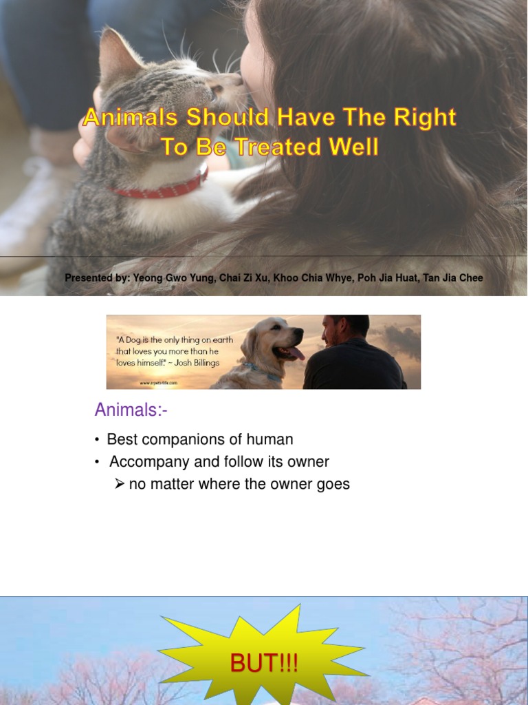 Promoting Compassion and Responsibility in Animal Care: A Case Against ...