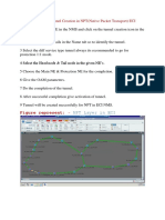 Procedure For Tunnel Creation in NPT