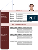 Formato1.2 (1).docx