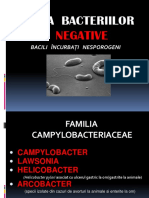 Grupa Bacteriilor Gram Negative