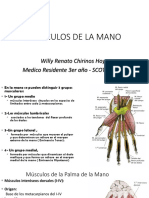 Arterias Mano MR3