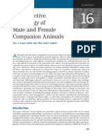 Reproductive Toxicology of Companion Animals