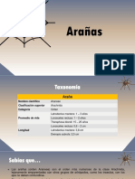 Taxonomia - de Arañas PDF